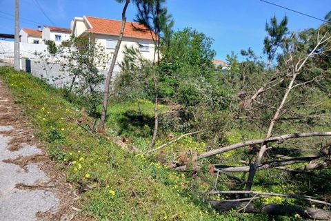 Helårsgrund i Pombal, Leiria, Pombal - € 48.000 | Ref: C0381-00884 - foto 4