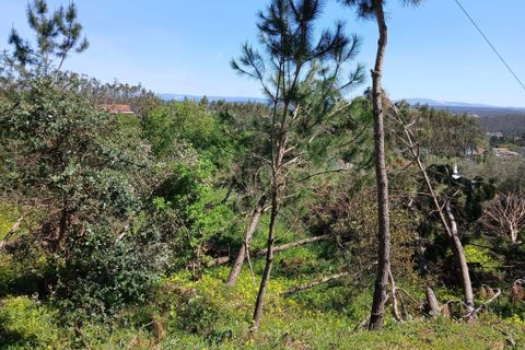 Helårsgrund i Pombal, Leiria, Pombal - € 48.000 | Ref: C0381-00884 - foto 5