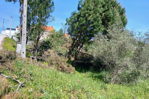 Helårsgrund i Pombal, Leiria, Pombal - € 48.000 | Ref: C0381-00884 - foto 6