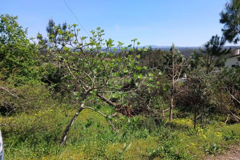 Helårsgrund i Pombal, Leiria, Pombal - € 48.000 | Ref: C0381-00884 - foto 7