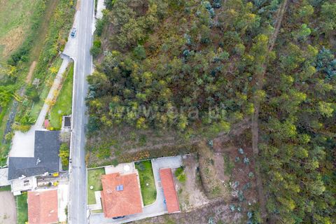 Helårsgrund i Barcelos, Braga, Barcelos - € 35.000 | Ref: 254260685 - foto 5