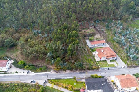 Helårsgrund i Barcelos, Braga, Barcelos - € 35.000 | Ref: 254260685 - foto 6