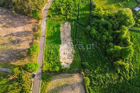 Helårsgrund i Barcelos, Braga, Barcelos - € 42.500 | Ref: 254260727 - foto 7