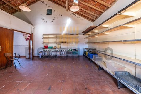 Villa i Cadaval, Lisbon, Cadaval - € 450.000 | Ref: CAS_904_SR - foto 6