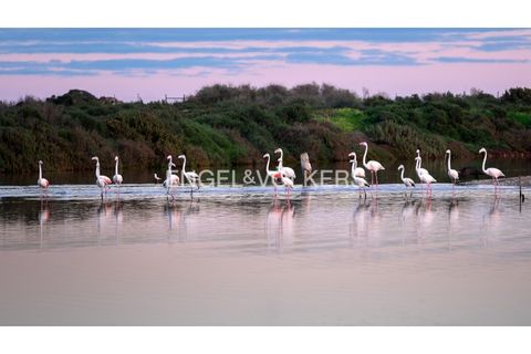 Byhus i Olhao, Faro, Olhao - € 650.000 | Ref: W-048OI1 - foto 26