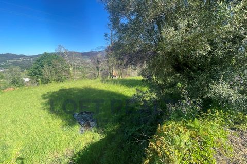 Villa i Ponte de Lima, Viana do Castelo, Ponte de Lima - € 450.000 | Ref: CAS_77 - foto 7
