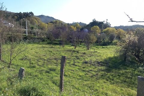 Villa i Ponte de Lima, Viana do Castelo, Ponte de Lima - € 450.000 | Ref: CAS_77 - foto 8