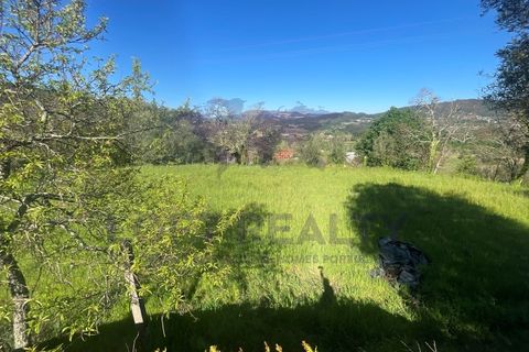 Villa i Ponte de Lima, Viana do Castelo, Ponte de Lima - € 450.000 | Ref: CAS_77 - foto 9