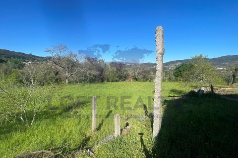 Villa i Ponte de Lima, Viana do Castelo, Ponte de Lima - € 450.000 | Ref: CAS_77 - foto 10