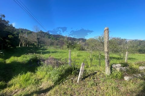 Villa i Ponte de Lima, Viana do Castelo, Ponte de Lima - € 450.000 | Ref: CAS_77 - foto 11