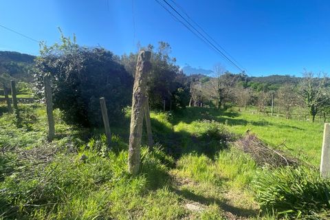 Villa i Ponte de Lima, Viana do Castelo, Ponte de Lima - € 450.000 | Ref: CAS_77 - foto 12