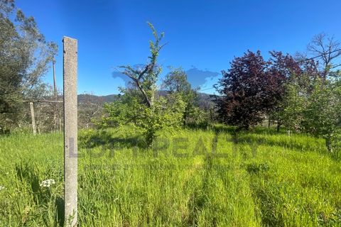 Villa i Ponte de Lima, Viana do Castelo, Ponte de Lima - € 450.000 | Ref: CAS_77 - foto 13