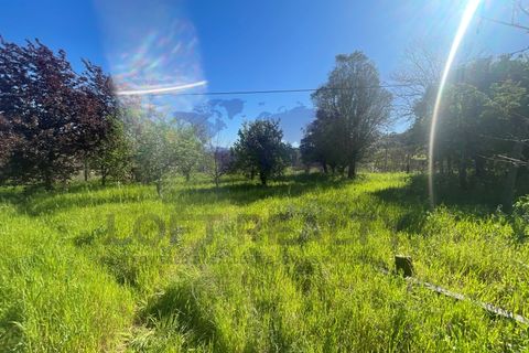 Villa i Ponte de Lima, Viana do Castelo, Ponte de Lima - € 450.000 | Ref: CAS_77 - foto 14