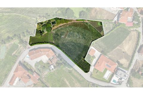 Helårsgrund i Braga, Braga, Braga - € 250.000 | Ref: 120241398-86 - foto 2