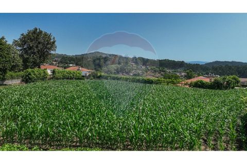 Helårsgrund i Braga, Braga, Braga - € 250.000 | Ref: 120241398-86 - foto 3