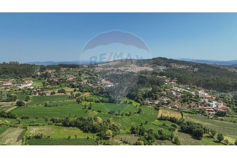Helårsgrund i Braga, Braga, Braga - € 250.000 | Ref: 120241398-86 - foto 13