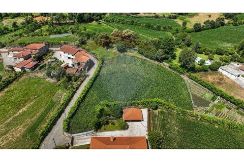 Helårsgrund i Braga, Braga, Braga - € 250.000 | Ref: 120241398-86 - foto 15