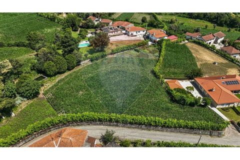 Helårsgrund i Braga, Braga, Braga - € 250.000 | Ref: 120241398-86 - foto 16