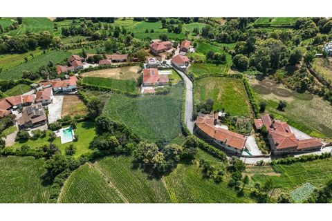 Helårsgrund i Braga, Braga, Braga - € 250.000 | Ref: 120241398-86 - foto 17