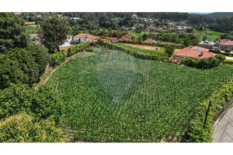 Helårsgrund i Braga, Braga, Braga - € 250.000 | Ref: 120241398-86 - foto 19