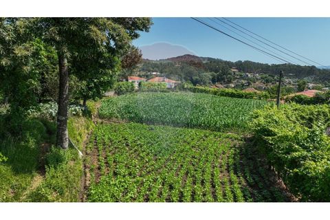 Helårsgrund i Braga, Braga, Braga - € 250.000 | Ref: 120241398-86 - foto 20