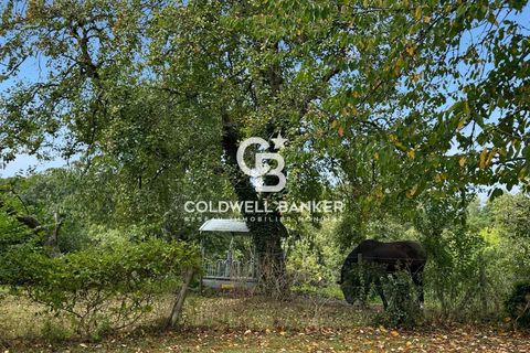 Villa i Honfleur, Calvados, Honfleur - € 1.190.000 | Ref: 86893114 - foto 14