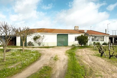 Helårsgrund i Benavente, Santarem, Benavente - € 390.000 | Ref: 501.2607 - foto 1