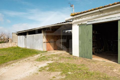 Helårsgrund i Benavente, Santarem, Benavente - € 390.000 | Ref: 501.2607 - foto 14