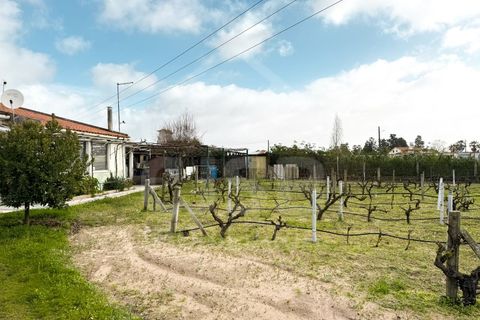 Helårsgrund i Benavente, Santarem, Benavente - € 390.000 | Ref: 501.2607 - foto 16