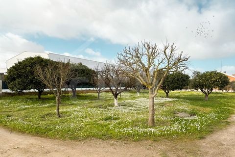 Helårsgrund i Benavente, Santarem, Benavente - € 390.000 | Ref: 501.2607 - foto 17