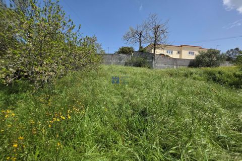 Terra a Fatima, Santarem, Fatima - € 75.000 | Ref: T1156_2025 - foto 2