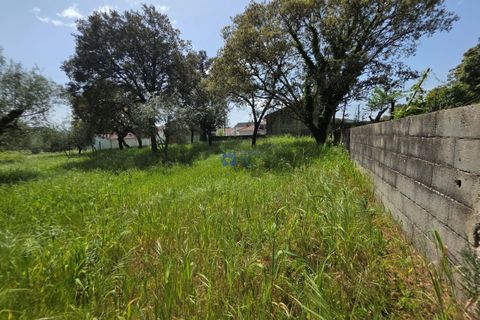 Terra a Fatima, Santarem, Fatima - € 75.000 | Ref: T1156_2025 - foto 6