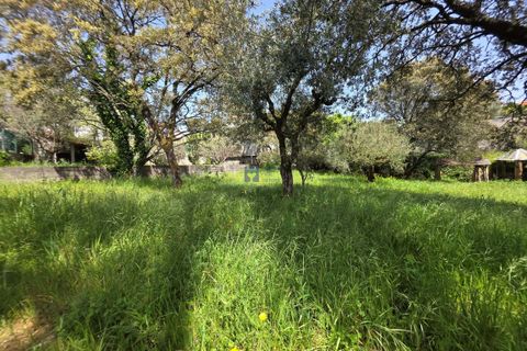 Terra a Fatima, Santarem, Fatima - € 75.000 | Ref: T1156_2025 - foto 7