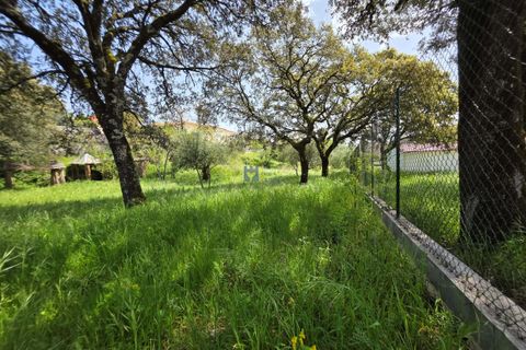 Terra a Fatima, Santarem, Fatima - € 75.000 | Ref: T1156_2025 - foto 9
