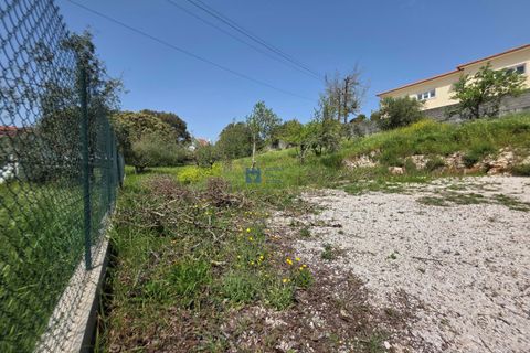 Terra a Fatima, Santarem, Fatima - € 75.000 | Ref: T1156_2025 - foto 16