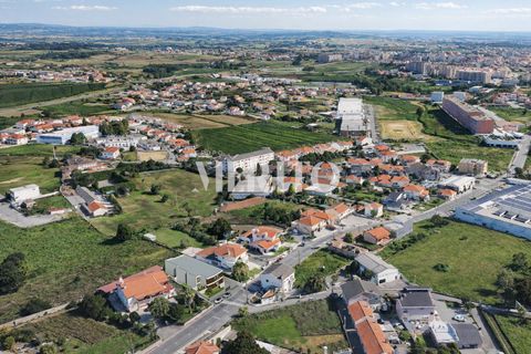 Lejlighed i Barcelos, Braga, Barcelos - € 260.000 | Ref: MIBC-E/0181(F) - foto 16