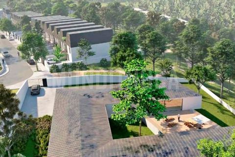 Terra a Aves, Porto, Aves - € 452.000 | Ref: 3637 - foto 5