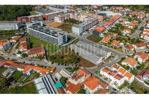 Terra a Aves, Porto, Aves - € 452.000 | Ref: 3637 - foto 6