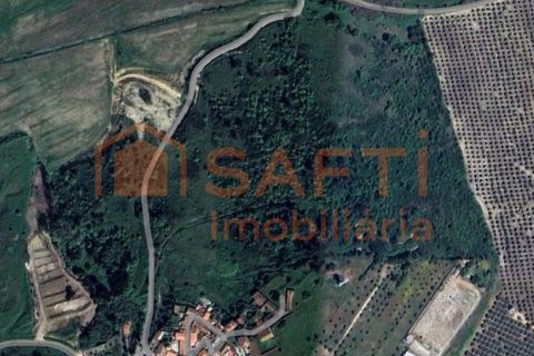 Helårsgrund i Assentiz, Santarem, Assentiz - € 40.000 | Ref: SAFTI:008042 - foto 1