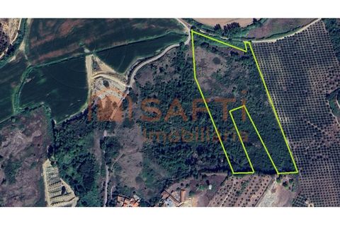 Helårsgrund i Assentiz, Santarem, Assentiz - € 40.000 | Ref: SAFTI:008042 - foto 2