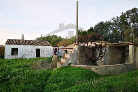 Villa i Moncarapacho, Faro, Moncarapacho - € 360.000 | Ref: HAB601 - foto 1