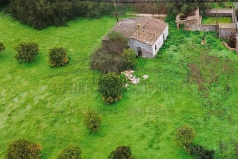 Villa i Moncarapacho, Faro, Moncarapacho - € 360.000 | Ref: HAB601 - foto 4