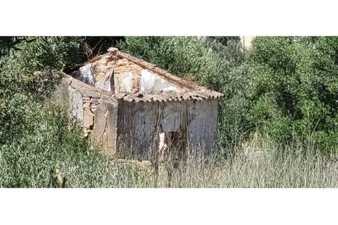 Villa i Moncarapacho, Faro, Moncarapacho - € 360.000 | Ref: HAB601 - foto 5