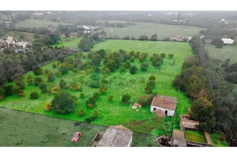 Villa i Moncarapacho, Faro, Moncarapacho - € 360.000 | Ref: HAB601 - foto 7