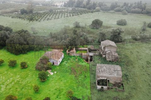 Villa i Moncarapacho, Faro, Moncarapacho - € 360.000 | Ref: HAB601 - foto 8