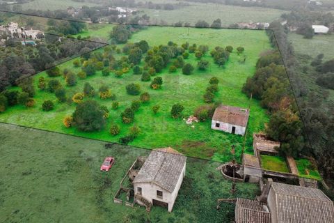 Villa i Moncarapacho, Faro, Moncarapacho - € 360.000 | Ref: HAB601 - foto 10