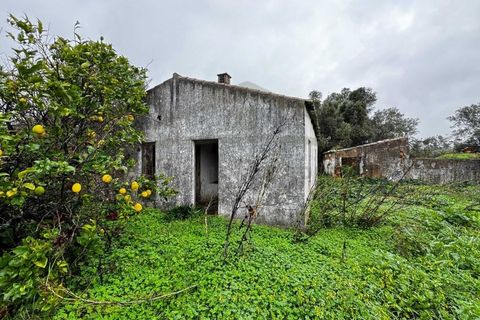 Villa i Moncarapacho, Faro, Moncarapacho - € 360.000 | Ref: HAB601 - foto 12