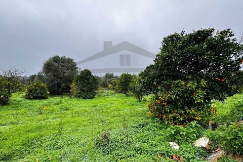 Villa i Moncarapacho, Faro, Moncarapacho - € 360.000 | Ref: HAB601 - foto 13