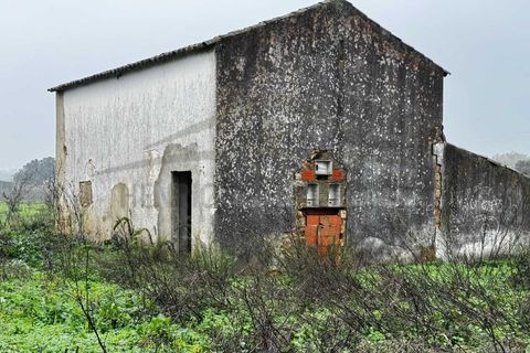 Villa i Moncarapacho, Faro, Moncarapacho - € 360.000 | Ref: HAB601 - foto 17