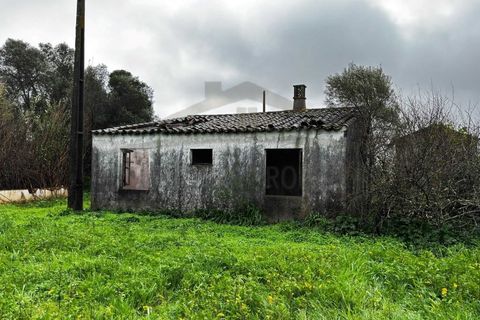 Villa i Moncarapacho, Faro, Moncarapacho - € 360.000 | Ref: HAB601 - foto 18